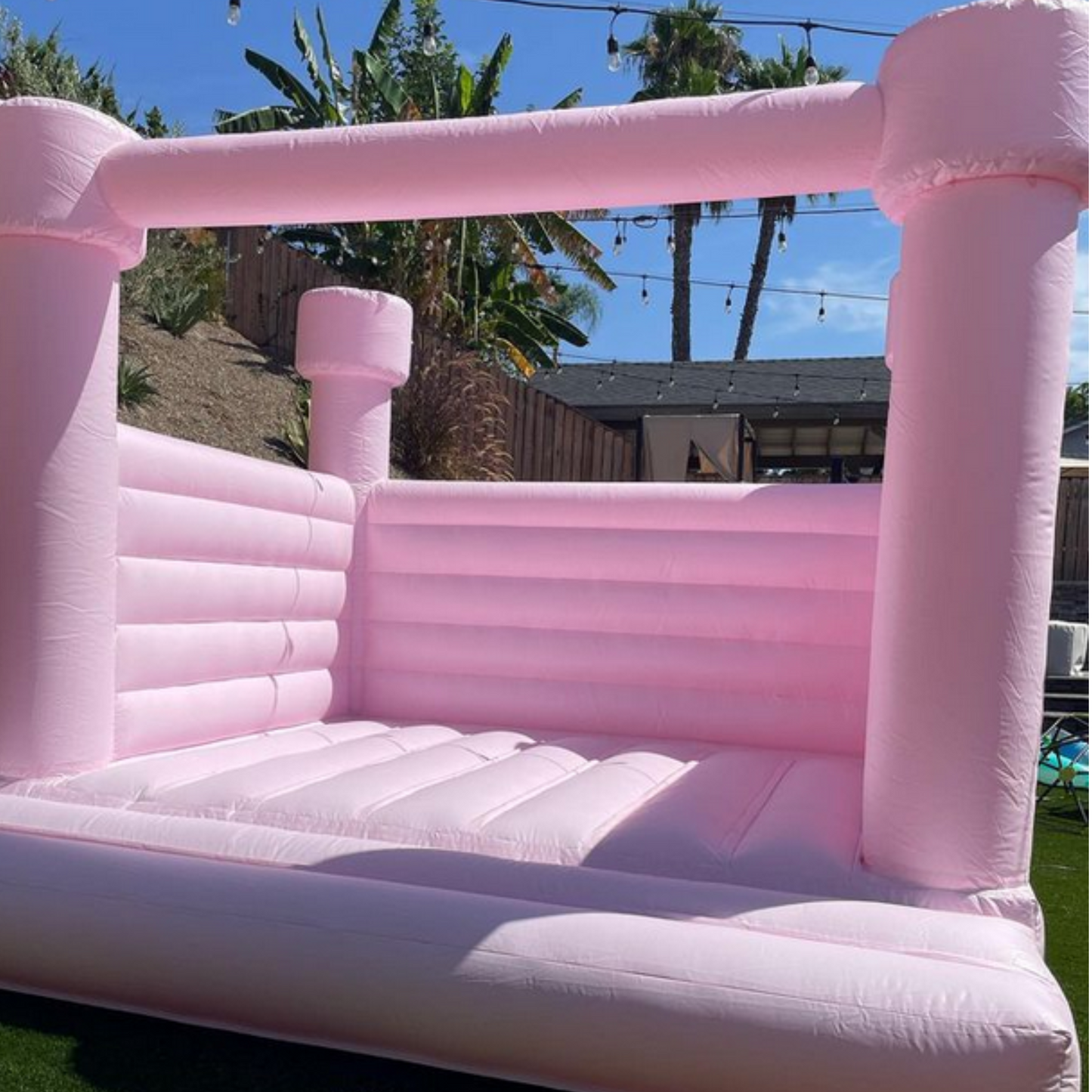 THE MODERN IN PETAL PINK